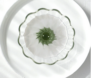 Cha Cha Tea Dripper Bouquet by Hario w/ Filters - Rare Tea Cellar