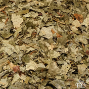 Birch Leaf (Organic) - Rare Tea Cellar