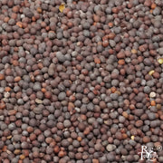 Brown Mustard Seed - Rare Tea Cellar
