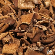 Dried Candy Cap Mushrooms - Rare Tea Cellar