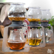 Tea Dripper Largo Stand Set by Hario - Rare Tea Cellar