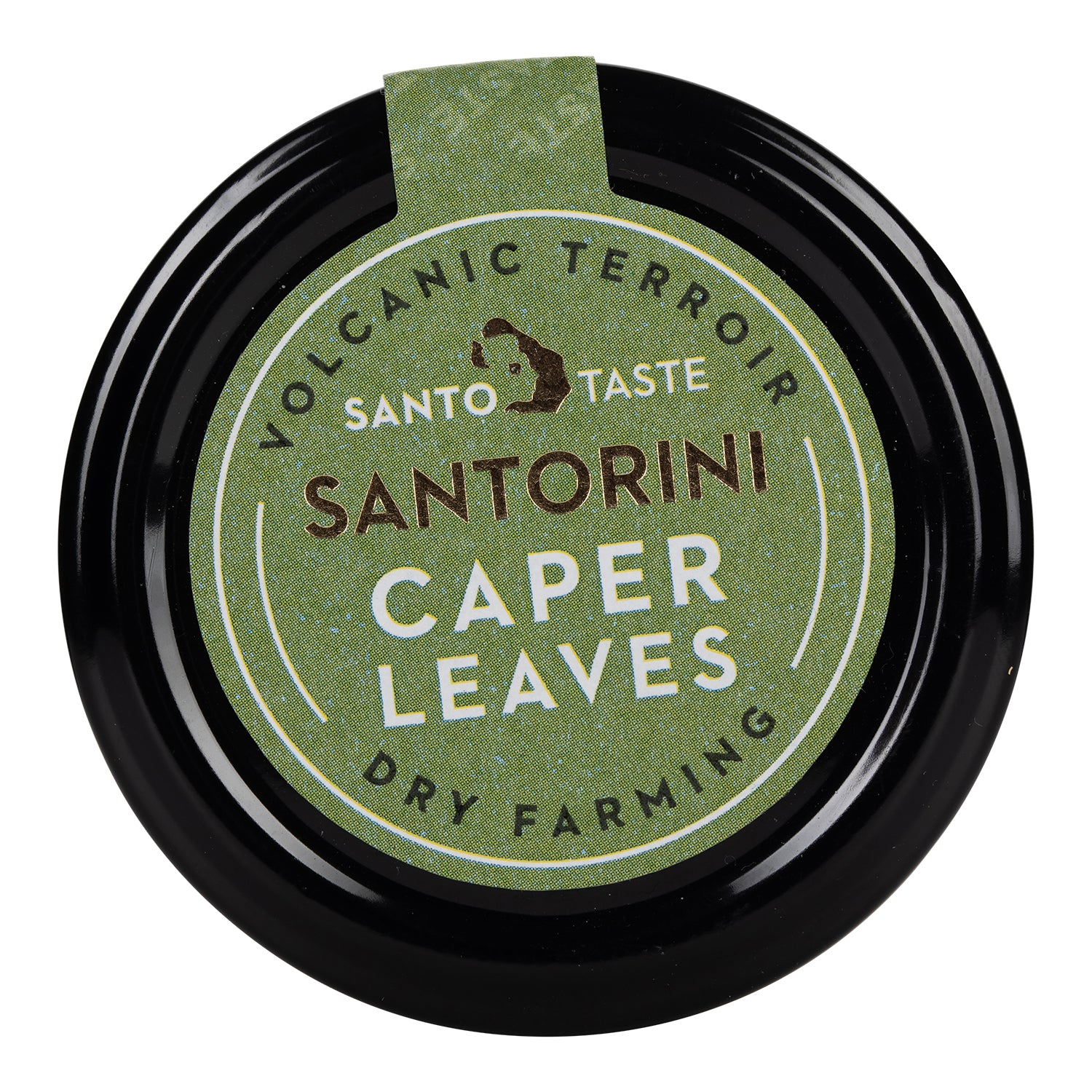 Santorini Caper Leaves - Wild Harvested– Rare Tea Cellar