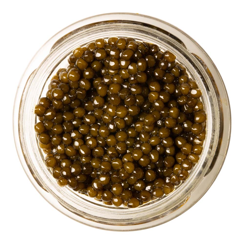 Rare Tea Cellar Kaluga Hybrid Sturgeon Golden Caviar
