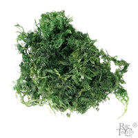 Ao Tosaka Reifu Kanso - Green - Rare Tea Cellar