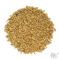 Coriander Seeds - Rare Tea Cellar