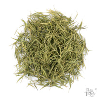High Mountain Bamboo Leaves - Rare Tea Cellar